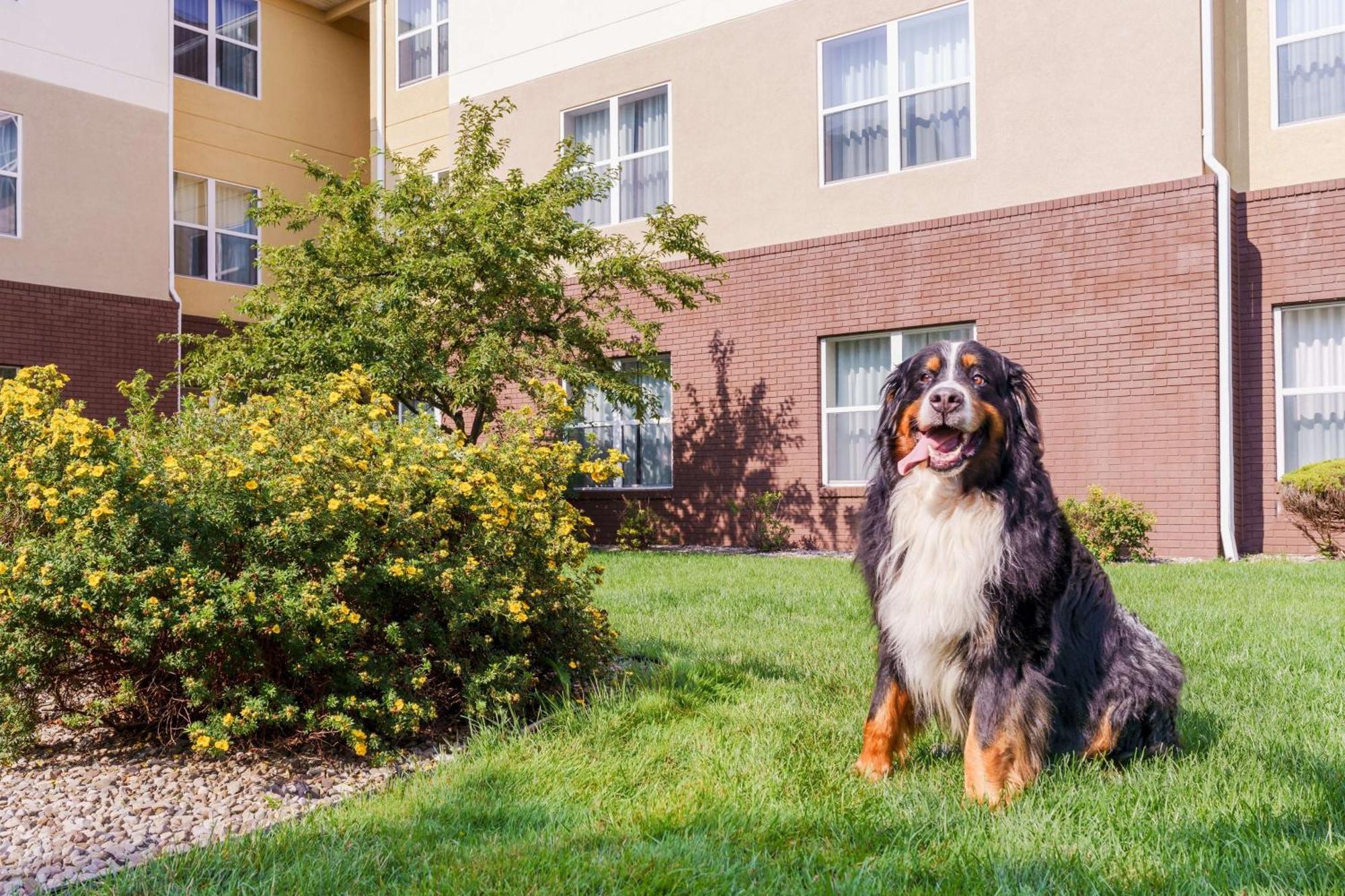 Homewood Suites Rochester-Henrietta Exterior foto